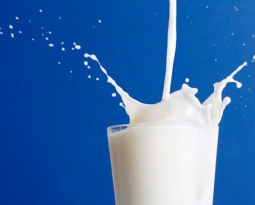 Balanced Bites – Which Milk Does Your Body Best?