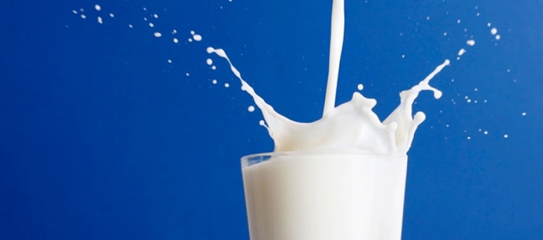 Balanced Bites – Which Milk Does Your Body Best?